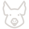 asados